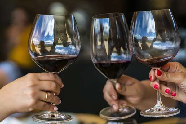Why San Diego Wine Tours Should Be on Your List